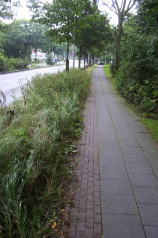 Radweg an der Behringstraße am 26.08.2004